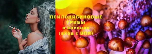 дурь Верхний Тагил
