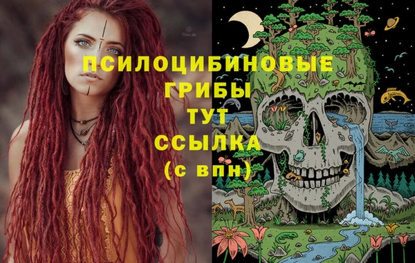 mix Верея